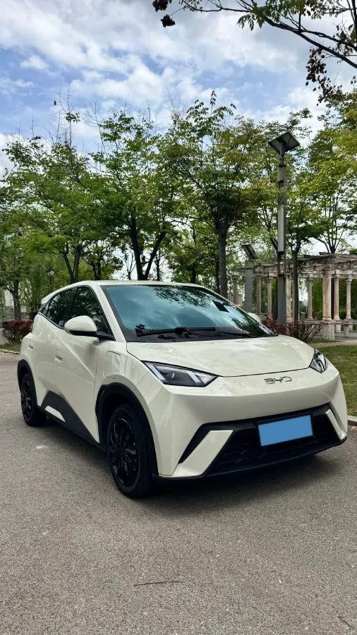 2024 BYD Seagull BEV 30.08KWH,autocango,china used car exporter,china ev exporter,chinese used car exporter,chinese used ev exporter