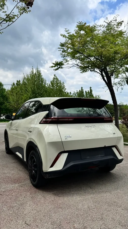 2024 BYD Seagull BEV 30.08KWH,autocango,china used car exporter,china ev exporter,chinese used car exporter,chinese used ev exporter