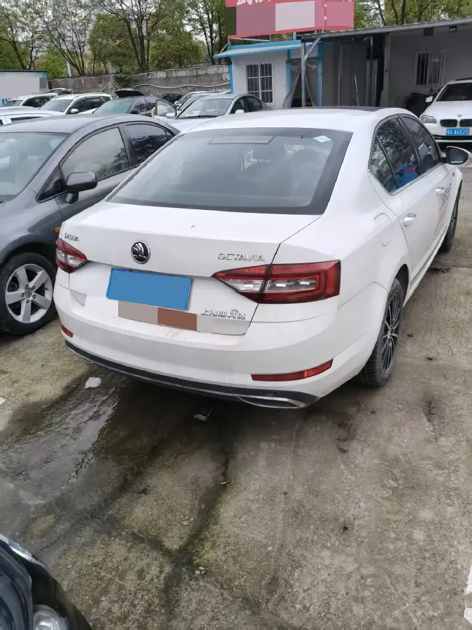 2019 Skoda Octavia 1.5L 116HP L4 6AT,autocango,china used car exporter,china ev exporter,chinese used car exporter,chinese used ev exporter
