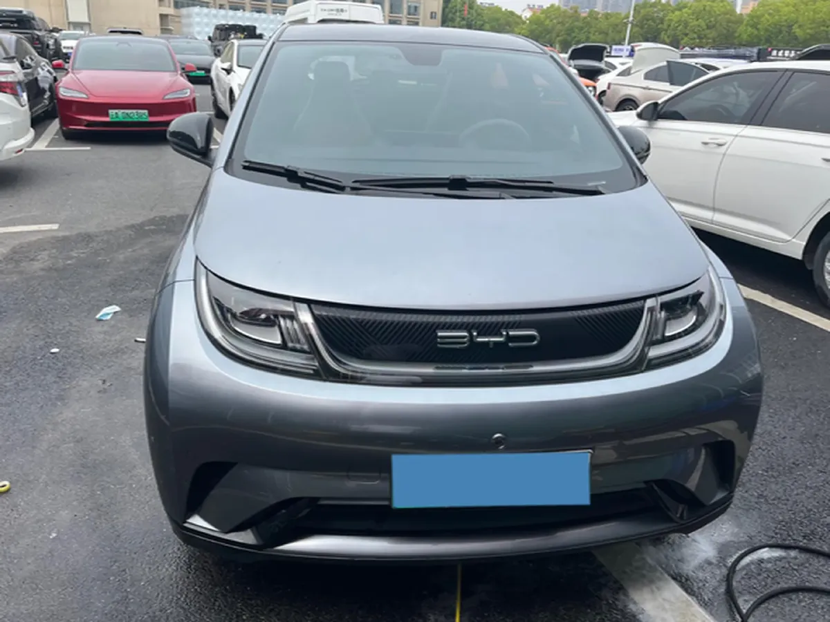 2023 BYD Dolphin BEV 44.928KWH,autocango,china used car exporter,china ev exporter,chinese used car exporter,chinese used ev exporter