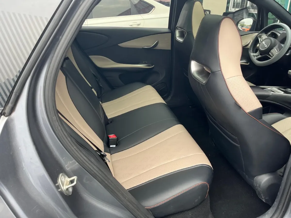 2023 BYD Dolphin BEV 44.928KWH,autocango,china used car exporter,china ev exporter,chinese used car exporter,chinese used ev exporter