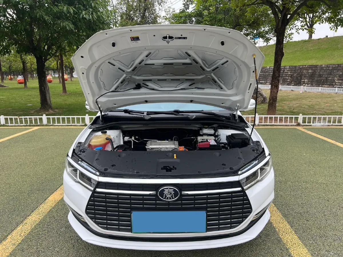 2021 BYD Qin BEV 47.53KWH,autocango,china used car exporter,china ev exporter,chinese used car exporter,chinese used ev exporter