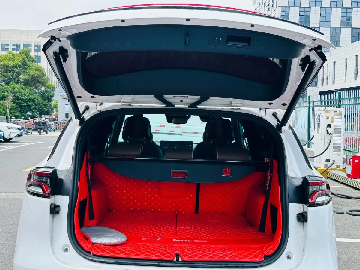 2021 BYD Tang 2.0T 192HP L4 6DCT PHEV 22.3KWH,autocango,china used car exporter,china ev exporter,chinese used car exporter,chinese used ev exporter