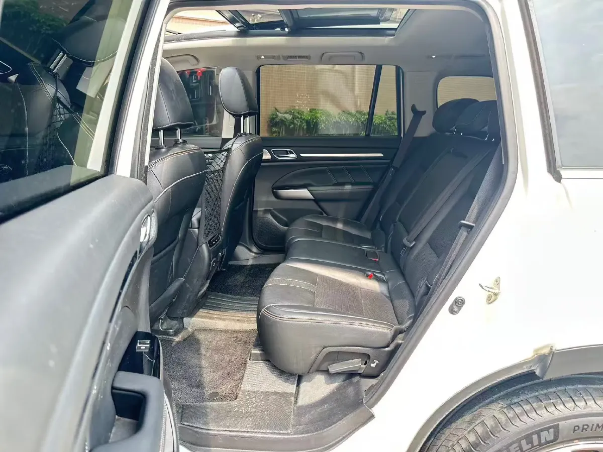 2020 GAC Trumpchi GS8 2.0T 252HP L4 6AT,autocango,china used car exporter,china ev exporter,chinese used car exporter,chinese used ev exporter