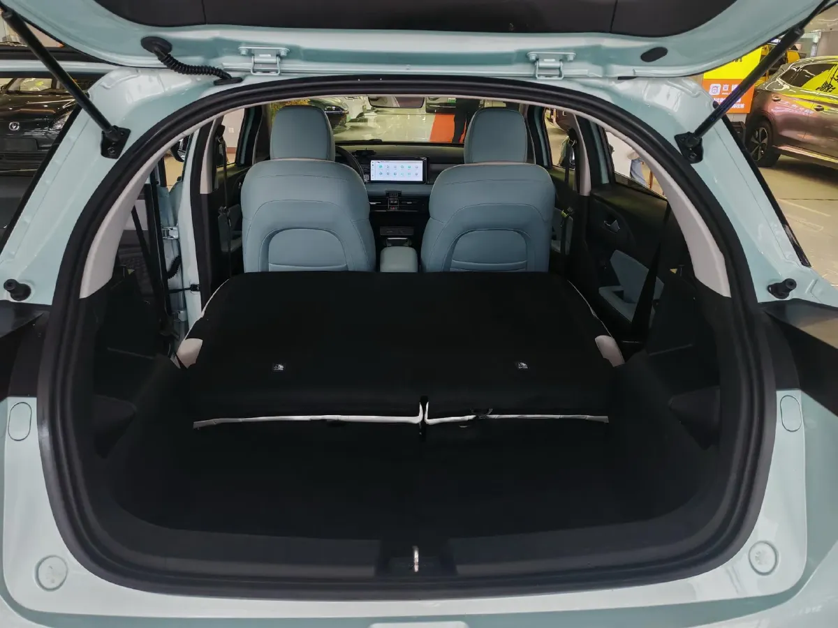 2024 Geometry E BEV 29.67KWH,autocango,china used car exporter,china ev exporter,chinese used car exporter,chinese used ev exporter