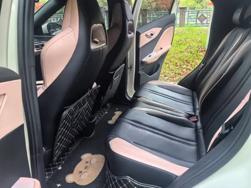 2023 BYD Seagull BEV 30.08KWH,autocango,china used car exporter,china ev exporter,chinese used car exporter,chinese used ev exporter