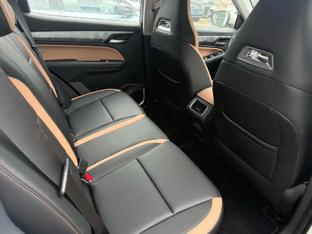 2024 Geely OkavangoPRO 1.5T 181HP L4 7DCT,autocango,china used car exporter,china ev exporter,chinese used car exporter,chinese used ev exporter