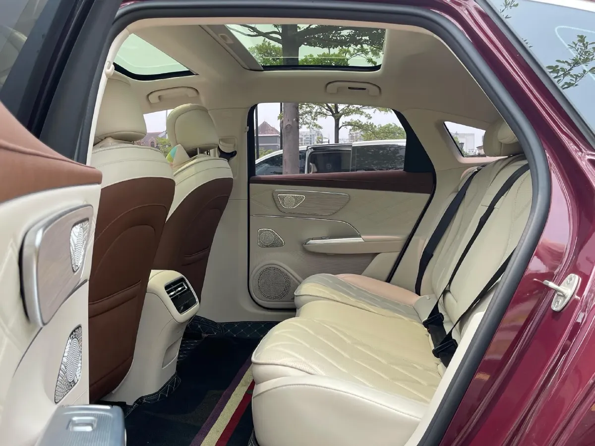 2025 Fulwin FulwinT9 1.5T 156HP L4 1DHT PHEV,autocango,china used car exporter,china ev exporter,chinese used car exporter,chinese used ev exporter