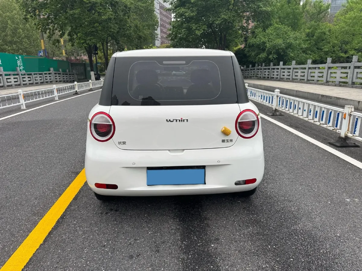 2023 ChangAn QiYuan Lumin BEV 28.08KWH,autocango,china used car exporter,china ev exporter,chinese used car exporter,chinese used ev exporter