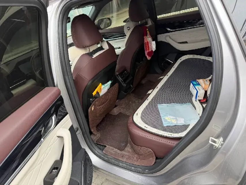 2024 Geely Monjaro 2.0T 238HP L4 8AT,autocango,china used car exporter,china ev exporter,chinese used car exporter,chinese used ev exporter