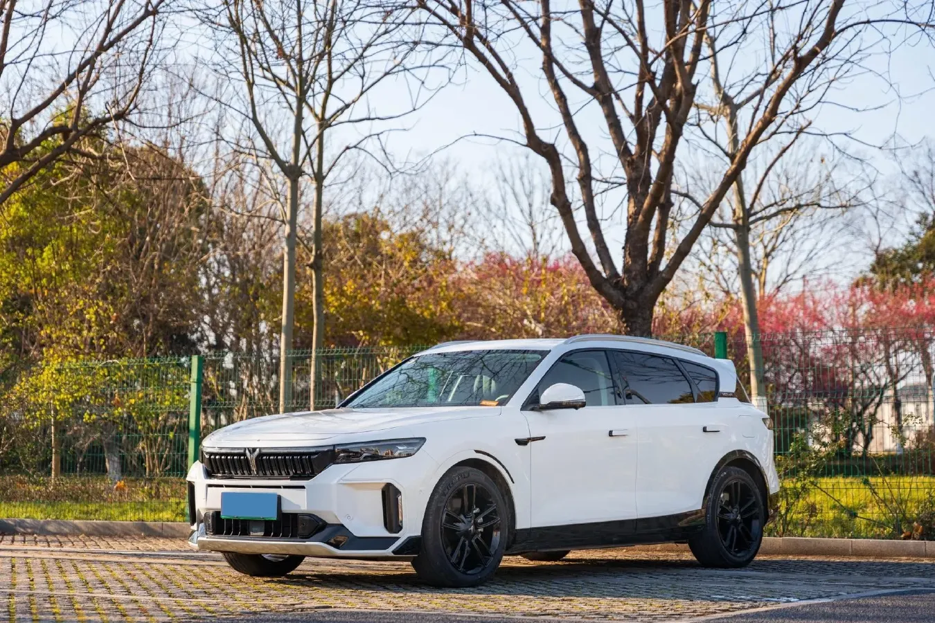 2024 Voyah FREE 1.5T 150HP L4 REEV 39.2KWH,autocango,china used car exporter,china ev exporter,chinese used car exporter,chinese used ev exporter