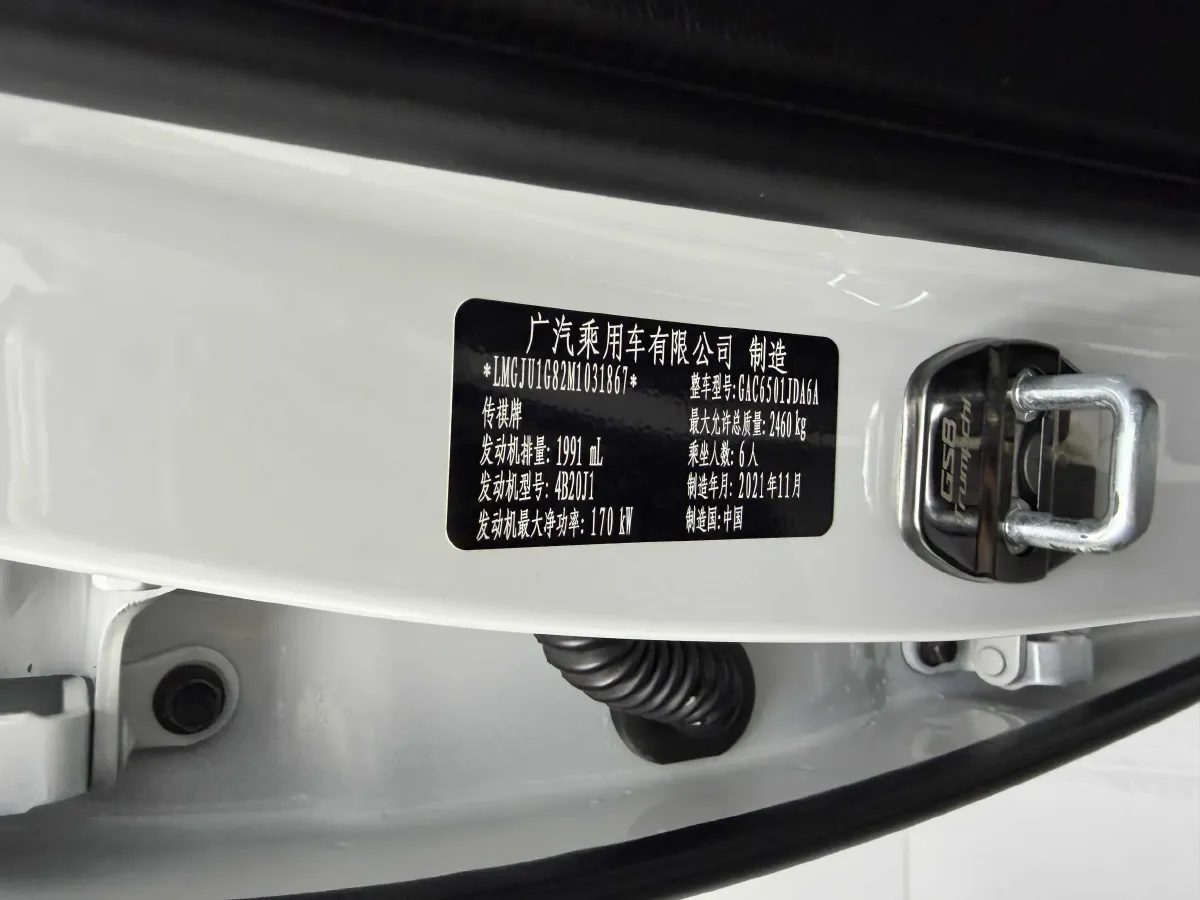 2022 GAC Trumpchi GS8 2.0T 252HP L4 8AT,autocango,china used car exporter,china ev exporter,chinese used car exporter,chinese used ev exporter