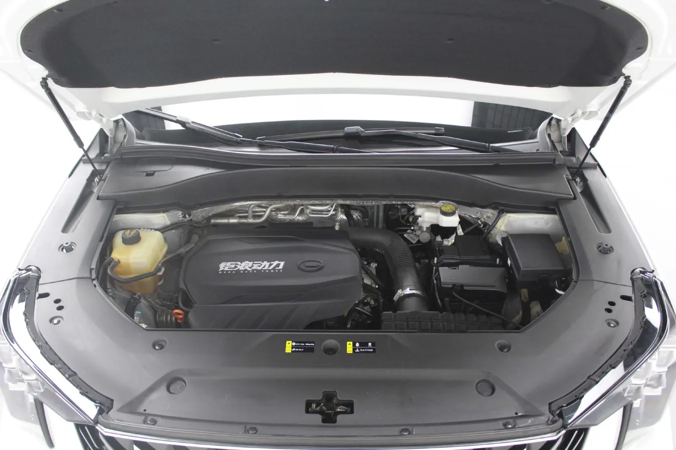 2022 GAC Trumpchi GS8 2.0T 252HP L4 8AT,autocango,china used car exporter,china ev exporter,chinese used car exporter,chinese used ev exporter