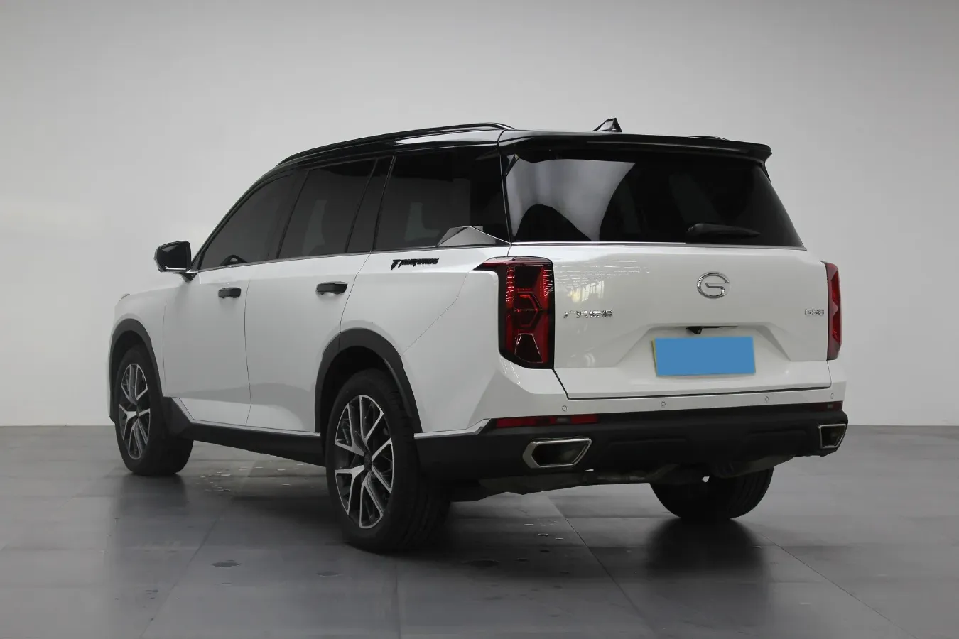 2022 GAC Trumpchi GS8 2.0T 252HP L4 8AT,autocango,china used car exporter,china ev exporter,chinese used car exporter,chinese used ev exporter