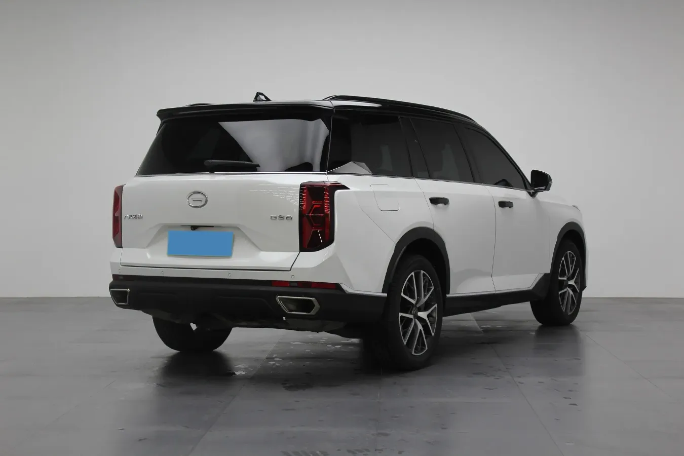 2022 GAC Trumpchi GS8 2.0T 252HP L4 8AT,autocango,china used car exporter,china ev exporter,chinese used car exporter,chinese used ev exporter