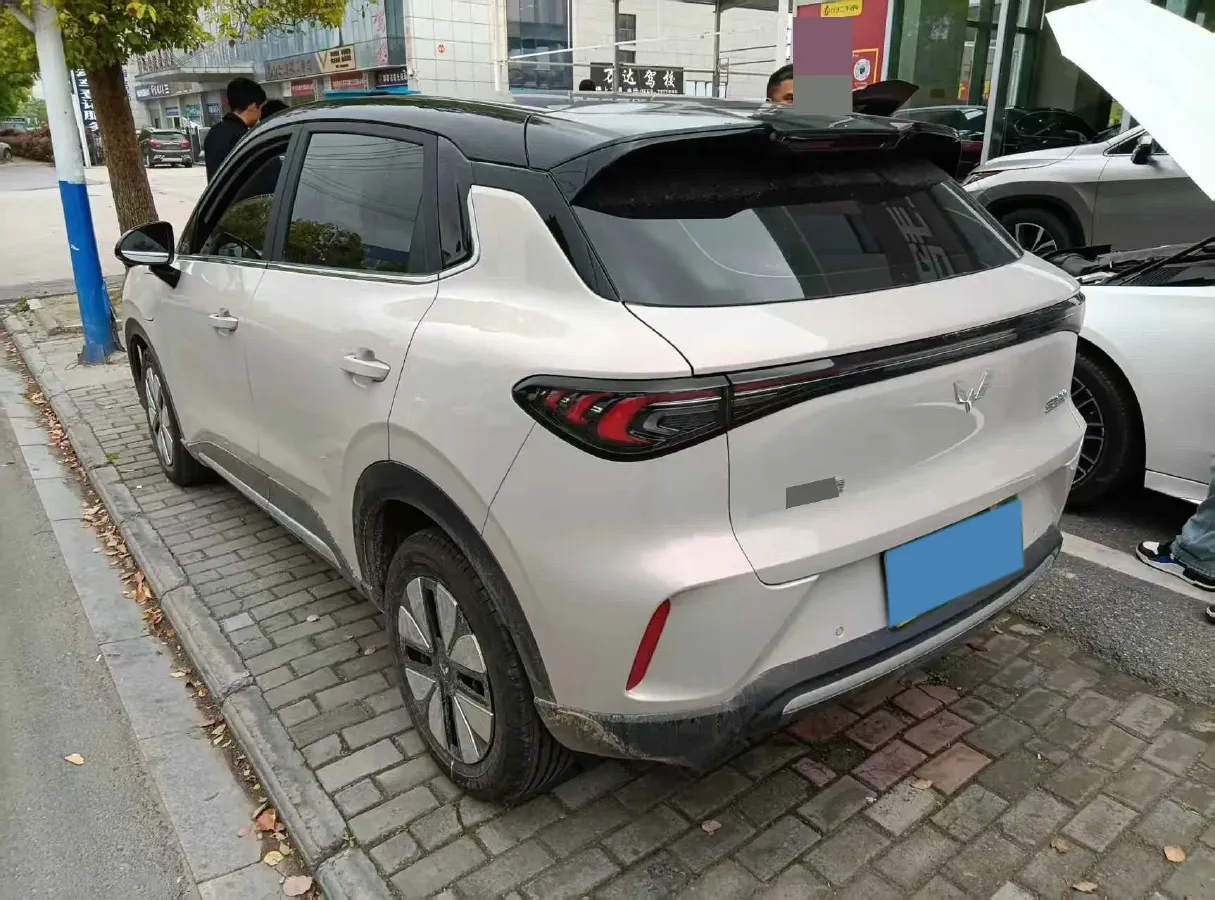 2025 WuLing BinGuo BEV,autocango,china used car exporter,china ev exporter,chinese used car exporter,chinese used ev exporter