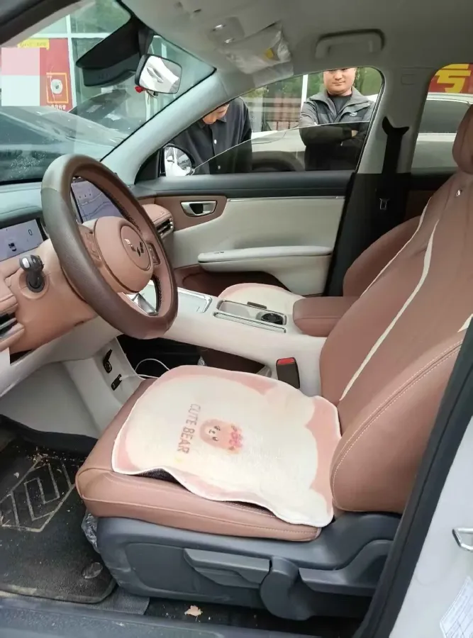 2025 WuLing BinGuo BEV,autocango,china used car exporter,china ev exporter,chinese used car exporter,chinese used ev exporter