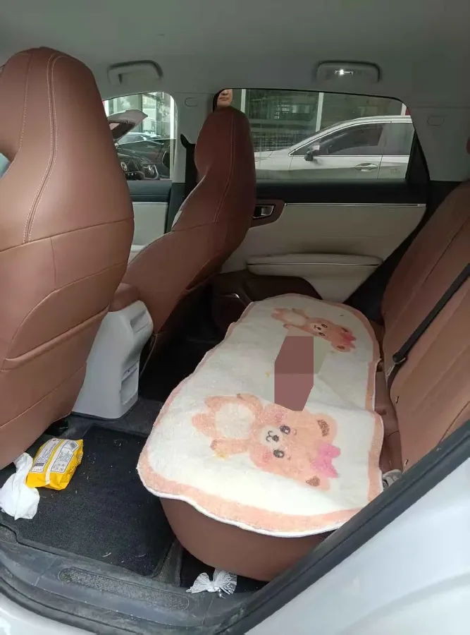 2025 WuLing BinGuo BEV,autocango,china used car exporter,china ev exporter,chinese used car exporter,chinese used ev exporter