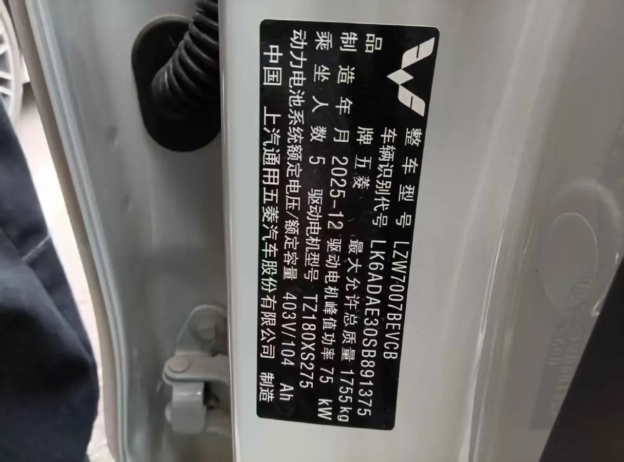 2025 WuLing BinGuo BEV,autocango,china used car exporter,china ev exporter,chinese used car exporter,chinese used ev exporter