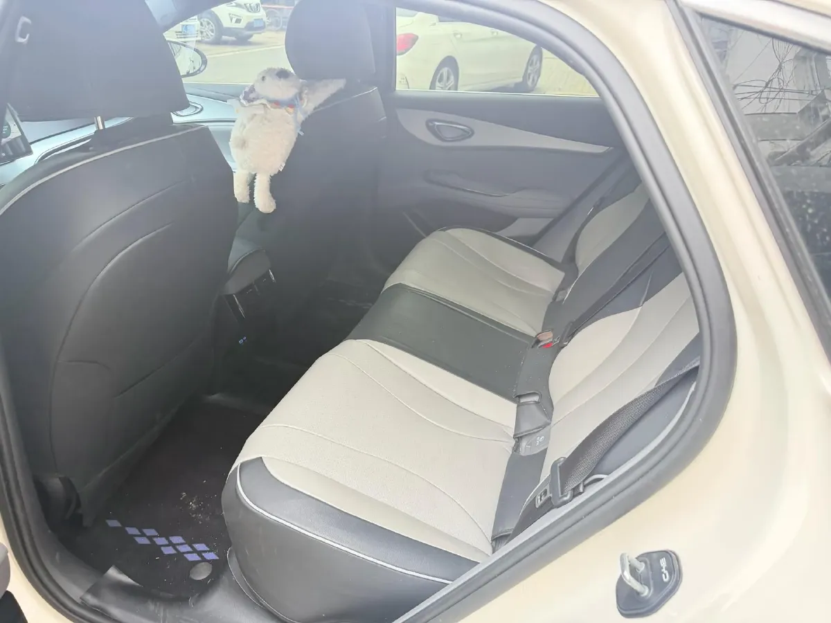 2025 BYD Seal07 DM-i 1.5L 101HP L4 E-CVT PHEV 10.08KWH,autocango,china used car exporter,china ev exporter,chinese used car exporter,chinese used ev exporter