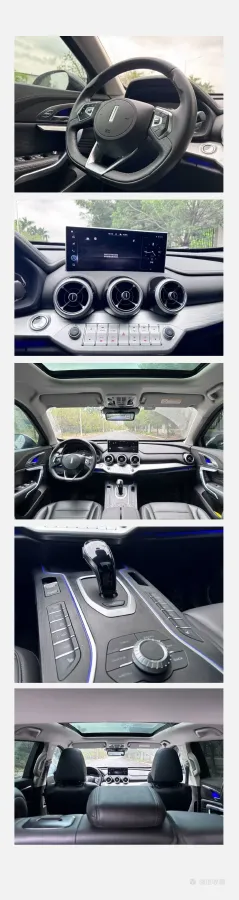 2020 WEY VV7 2.0T 227HP L4 7DCT,autocango,china used car exporter,china ev exporter,chinese used car exporter,chinese used ev exporter