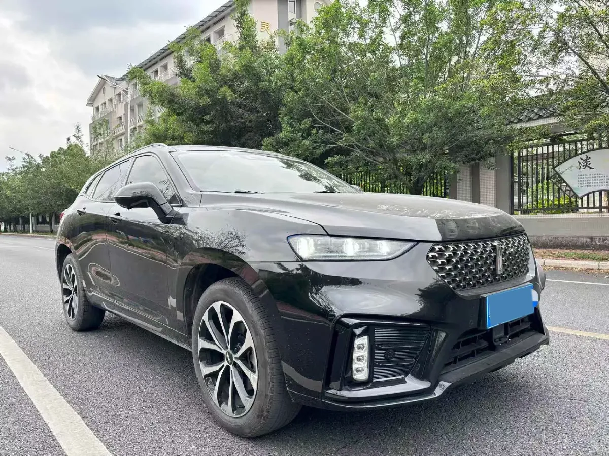 2020 WEY VV7 2.0T 227HP L4 7DCT,autocango,china used car exporter,china ev exporter,chinese used car exporter,chinese used ev exporter