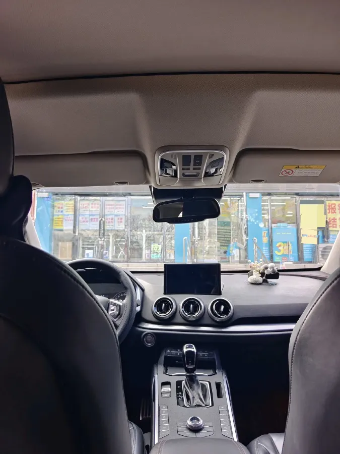 2017 WEY VV5 2.0T 197HP L4 7DCT,autocango,china used car exporter,china ev exporter,chinese used car exporter,chinese used ev exporter