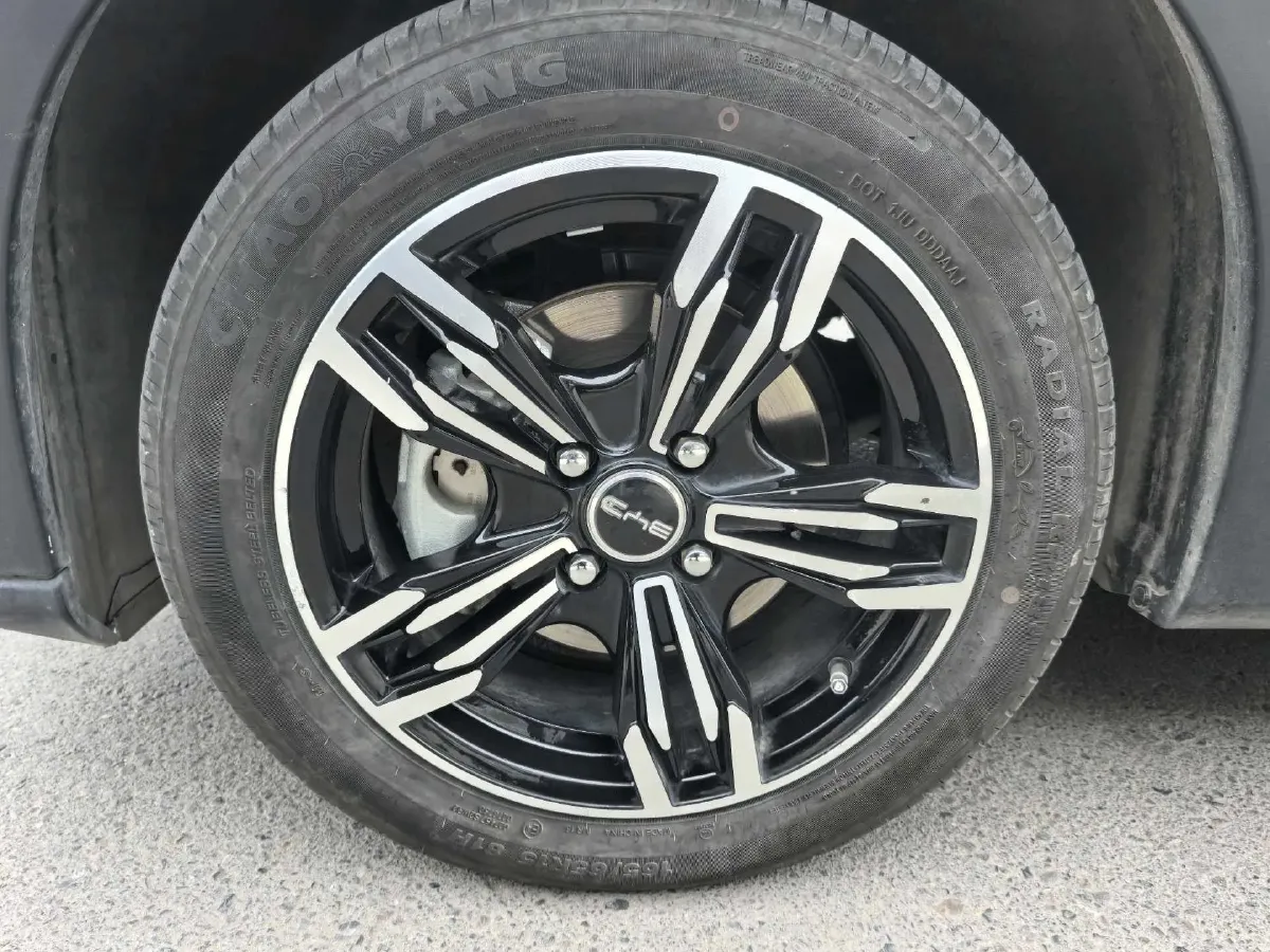 2024 BYD Seagull BEV 30.08KWH,autocango,china used car exporter,china ev exporter,chinese used car exporter,chinese used ev exporter