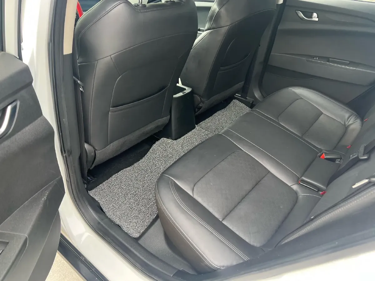 2020 Dongfeng RuiQi 6 BEV 67.09KWH,autocango,china used car exporter,china ev exporter,chinese used car exporter,chinese used ev exporter