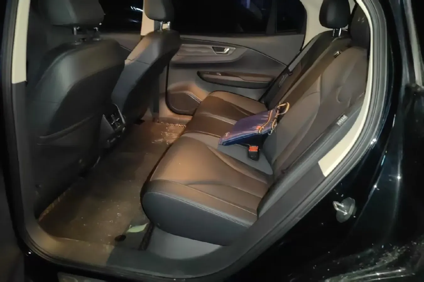 2022 HongQi E-QM5 BEV 54KWH,autocango,china used car exporter,china ev exporter,chinese used car exporter,chinese used ev exporter