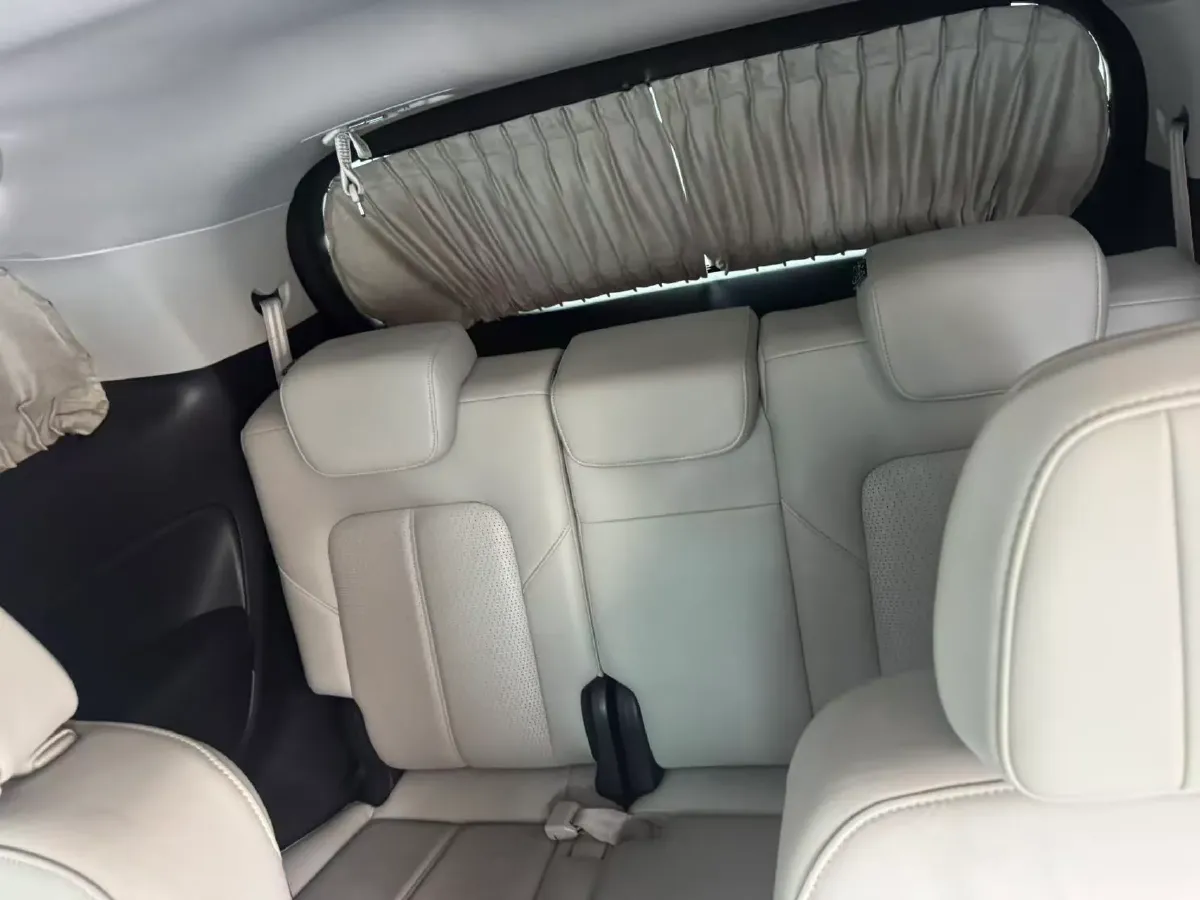 2021 GAC Trumpchi M8 2.0T 252HP L4 8AT,autocango,china used car exporter,china ev exporter,chinese used car exporter,chinese used ev exporter