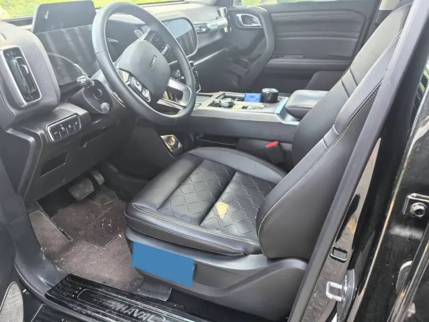 2024 Haval Dargo 2.0T 238HP L4 9DCT,autocango,china used car exporter,china ev exporter,chinese used car exporter,chinese used ev exporter