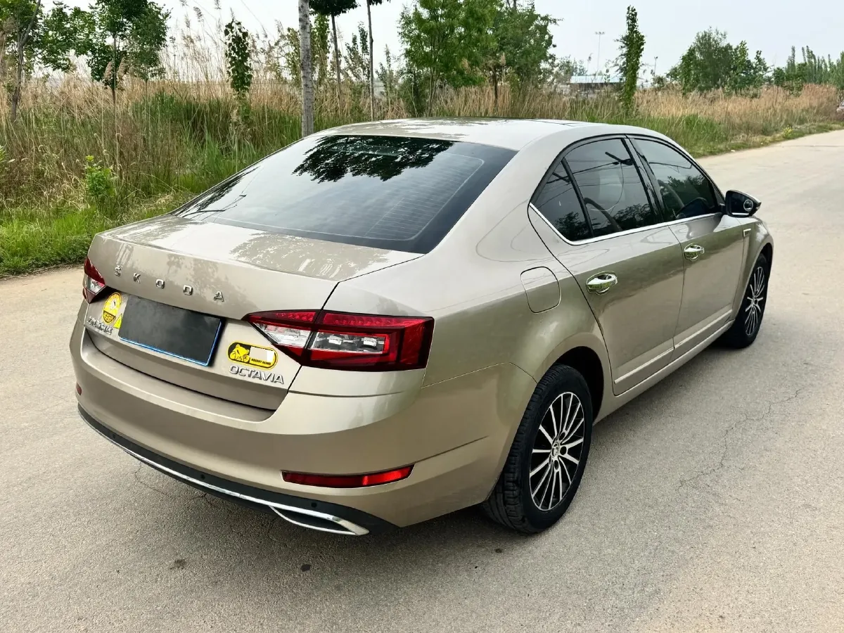 2019 Skoda Octavia 1.5L 116HP L4 6AT,autocango,china used car exporter,china ev exporter,chinese used car exporter,chinese used ev exporter