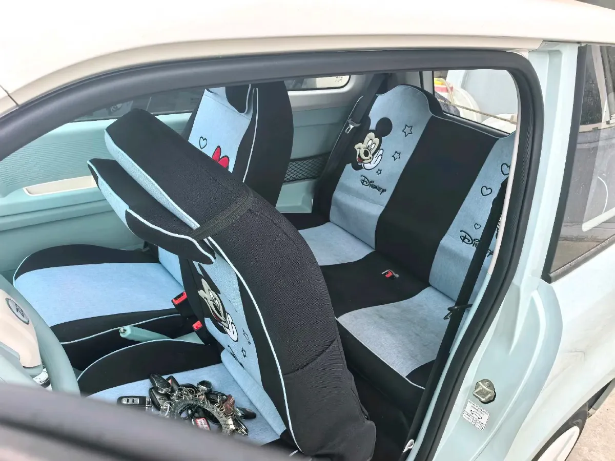 2024 ZD Rainbow BEV 17.3KWH,autocango,china used car exporter,china ev exporter,chinese used car exporter,chinese used ev exporter