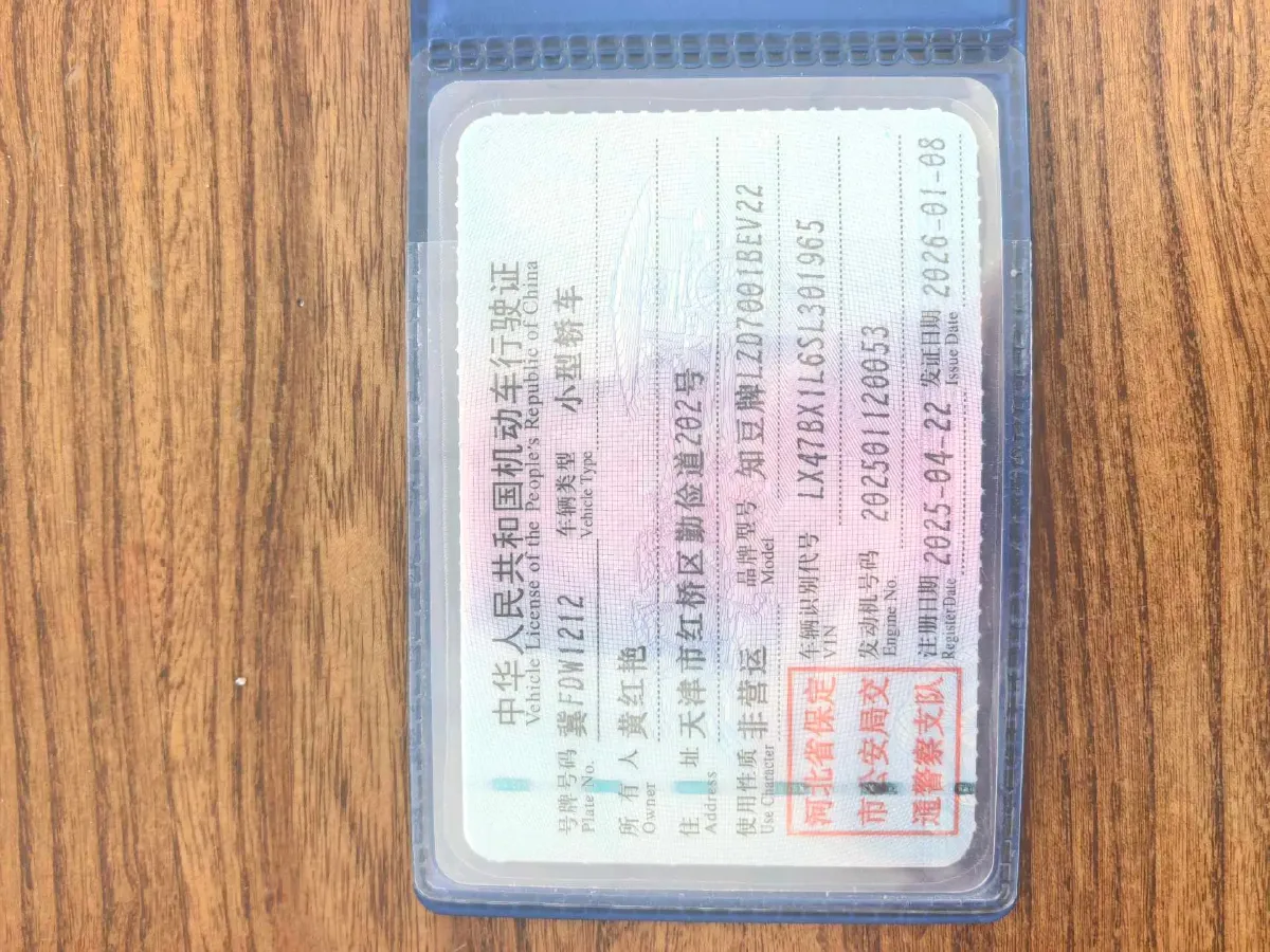 2024 ZD Rainbow BEV 17.3KWH,autocango,china used car exporter,china ev exporter,chinese used car exporter,chinese used ev exporter