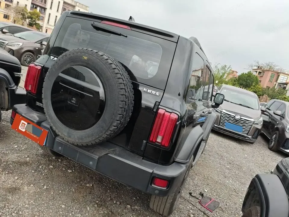 2023 Tank 300 2.0T 227HP L4 8AT,autocango,china used car exporter,china ev exporter,chinese used car exporter,chinese used ev exporter