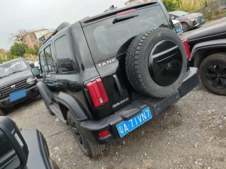 2023 Tank 300 2.0T 227HP L4 8AT,autocango,china used car exporter,china ev exporter,chinese used car exporter,chinese used ev exporter