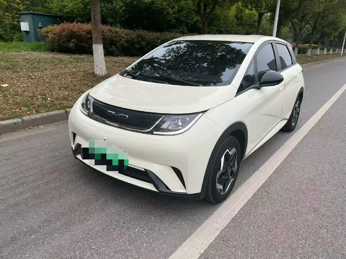 2021 BYD Yuan Pro BEV 50.1KWH,autocango,china used car exporter,china ev exporter,chinese used car exporter,chinese used ev exporter