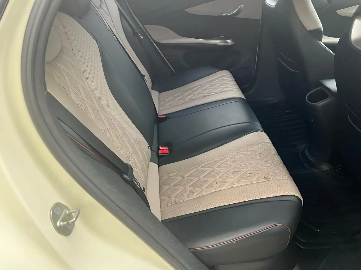 2021 BYD Yuan Pro BEV 50.1KWH,autocango,china used car exporter,china ev exporter,chinese used car exporter,chinese used ev exporter