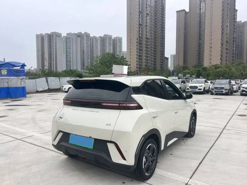 2024 BYD Seagull BEV 30.08KWH,autocango,china used car exporter,china ev exporter,chinese used car exporter,chinese used ev exporter