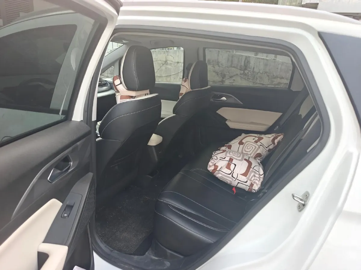 2024 Geometry E BEV 29.67KWH,autocango,china used car exporter,china ev exporter,chinese used car exporter,chinese used ev exporter