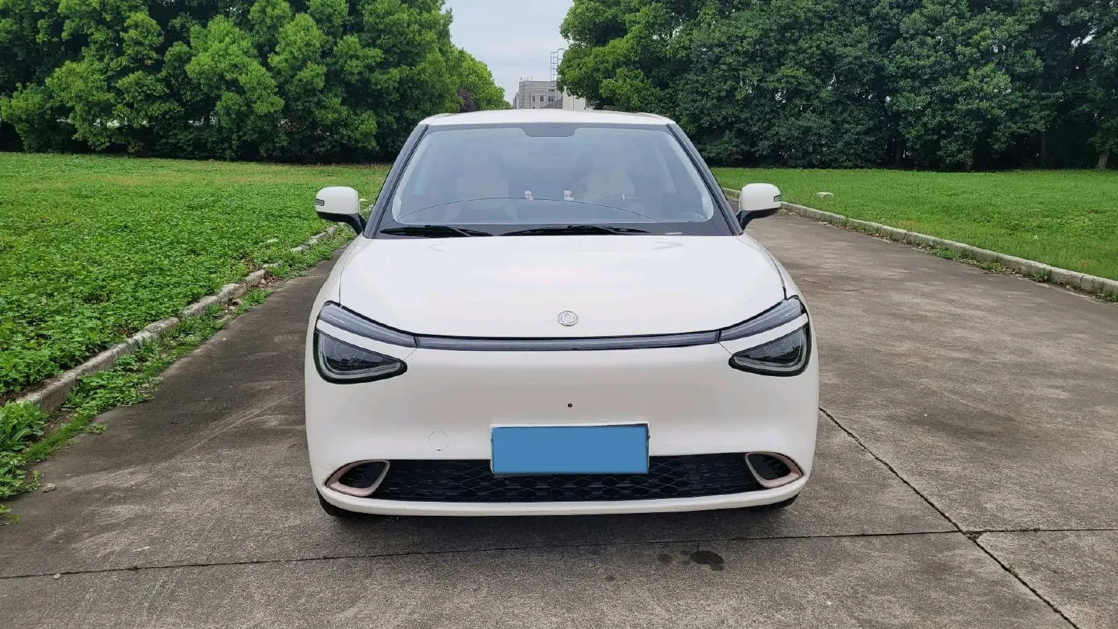 2024 DongFeng eπ 01 BEV 31.45KWH,autocango,china used car exporter,china ev exporter,chinese used car exporter,chinese used ev exporter