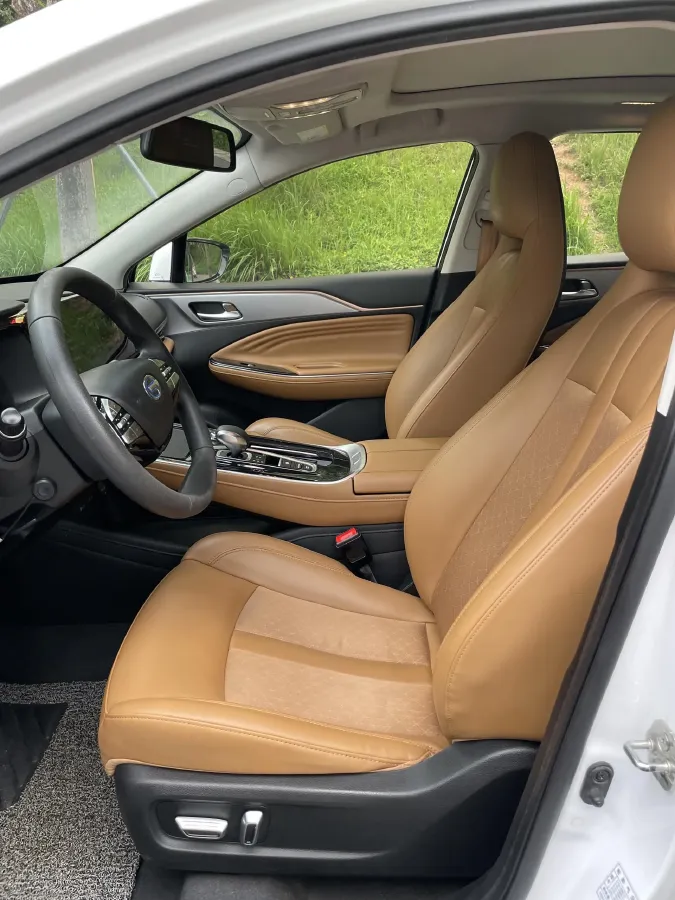 2019 Aion S BEV 58.8KWH,autocango,china used car exporter,china ev exporter,chinese used car exporter,chinese used ev exporter