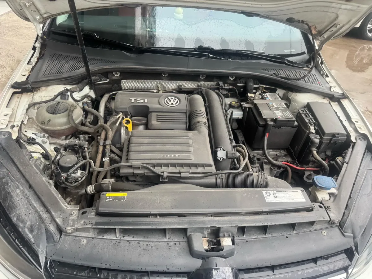 2019 Volkswagen Golf 1.2T 116HP L4 7DCT,autocango,china used car exporter,china ev exporter,chinese used car exporter,chinese used ev exporter