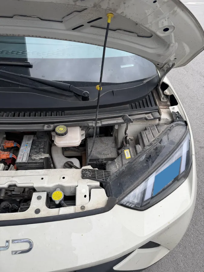 2023 BYD Seagull BEV 30.08KWH,autocango,china used car exporter,china ev exporter,chinese used car exporter,chinese used ev exporter