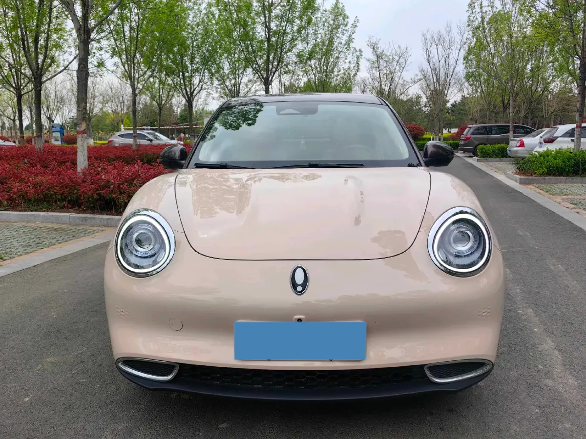 2021 Ora FunkyCat BEV 45.99KWH,autocango,china used car exporter,china ev exporter,chinese used car exporter,chinese used ev exporter