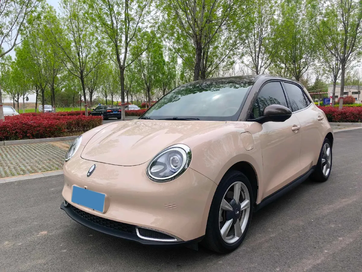 2021 Ora FunkyCat BEV 45.99KWH,autocango,china used car exporter,china ev exporter,chinese used car exporter,chinese used ev exporter