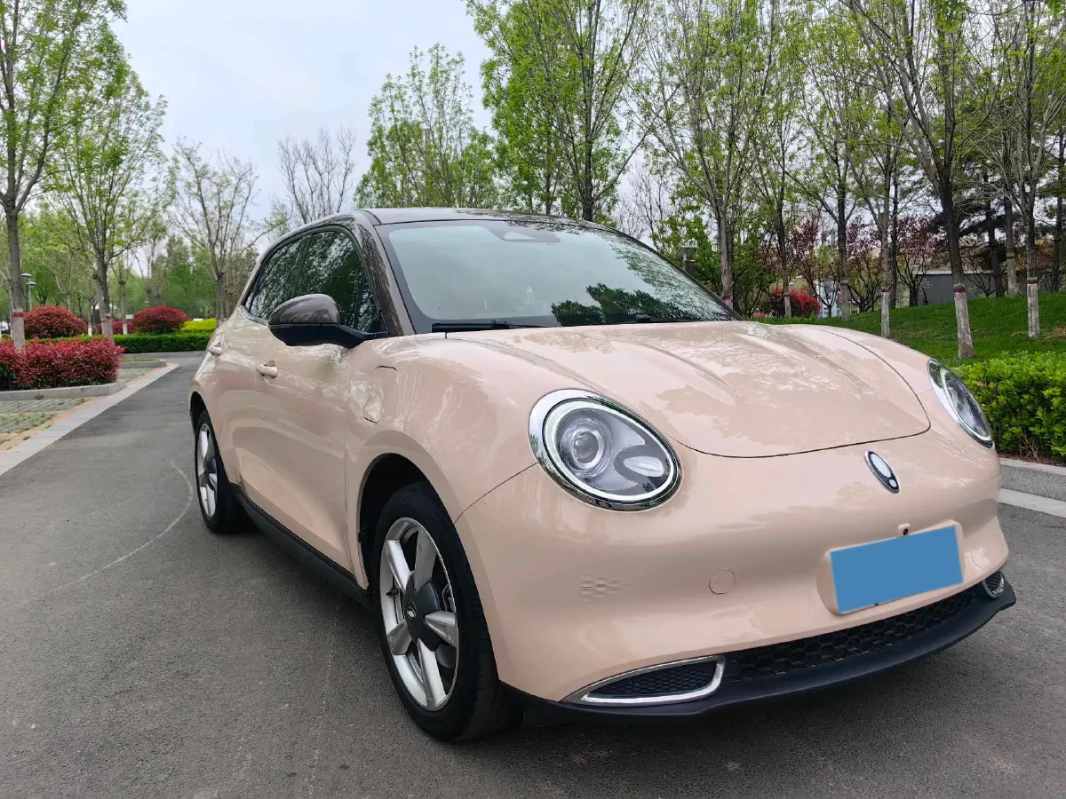 2021 Ora FunkyCat BEV 45.99KWH,autocango,china used car exporter,china ev exporter,chinese used car exporter,chinese used ev exporter