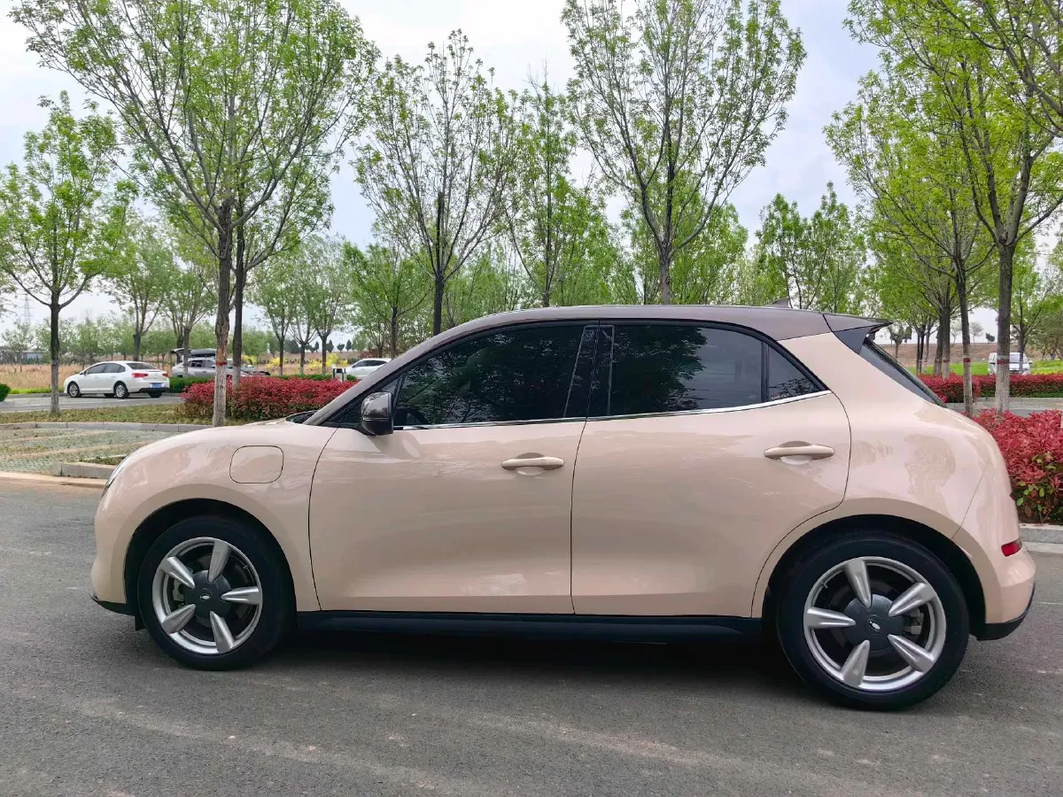 2021 Ora FunkyCat BEV 45.99KWH,autocango,china used car exporter,china ev exporter,chinese used car exporter,chinese used ev exporter