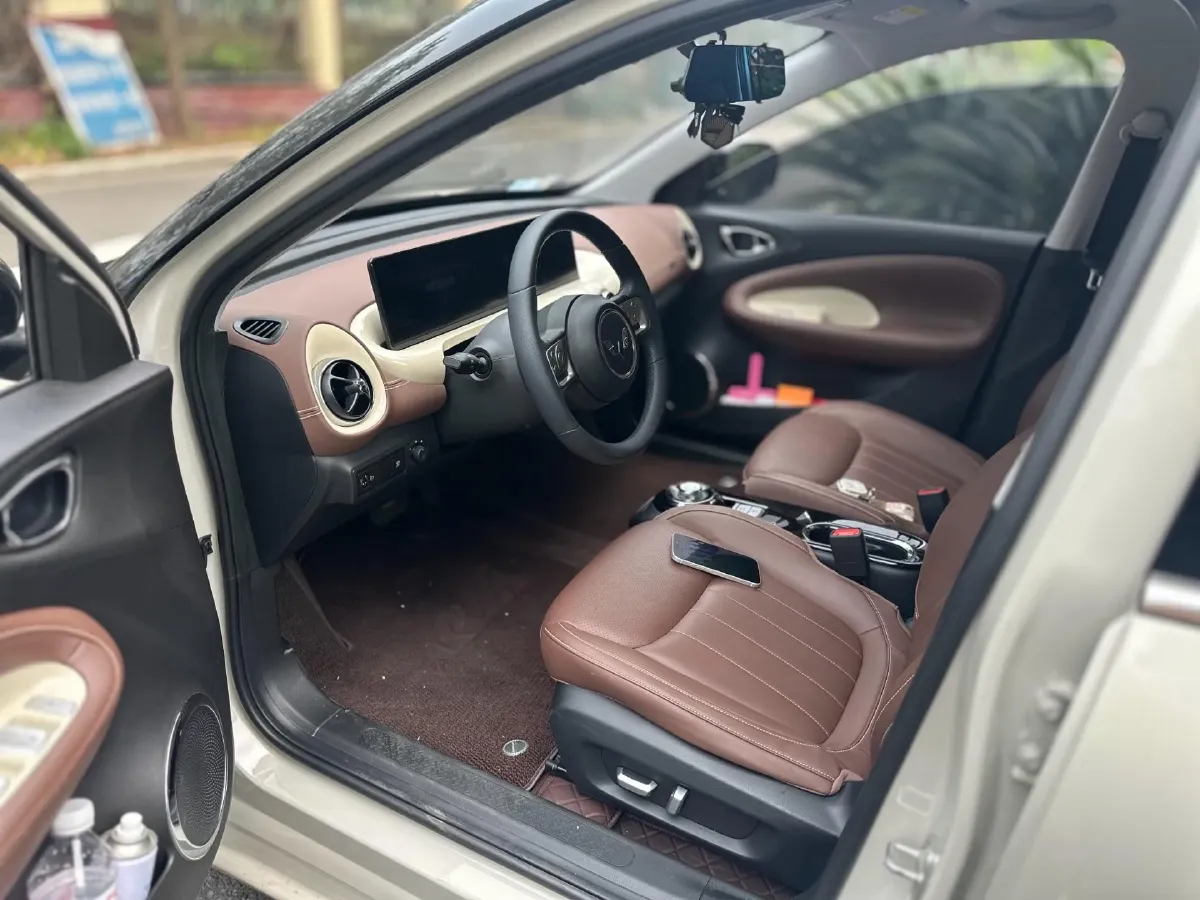 2023 WuLing BinGuo BEV 31.9KWH,autocango,china used car exporter,china ev exporter,chinese used car exporter,chinese used ev exporter